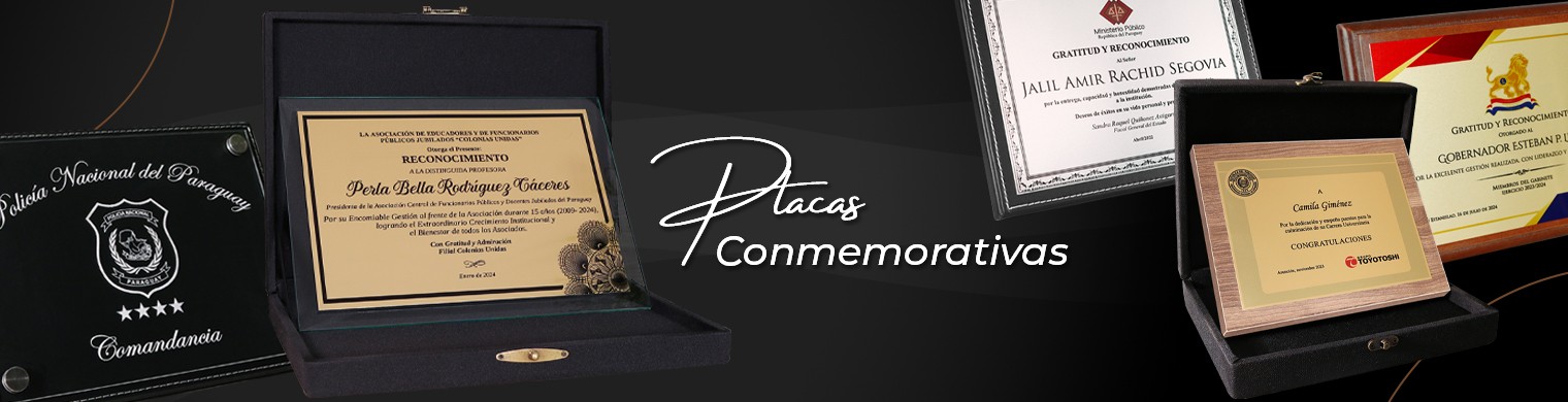 28-Placas